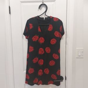 Sanctuary Rose Dress
